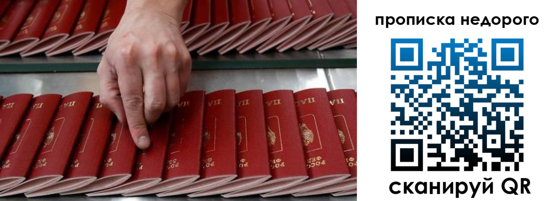 прописка регистрация в Подольске